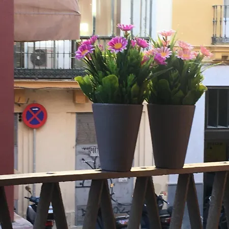 Appartement Jimios Alcazar Catedral *