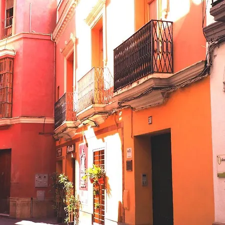 Jimios Alcázar Catedral *