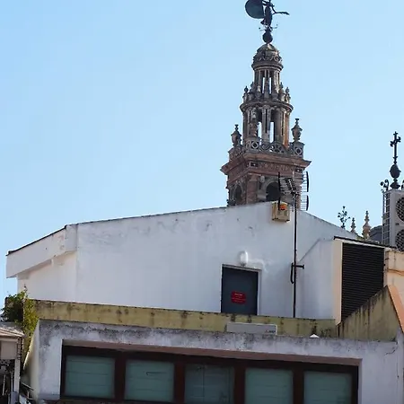 Jimios Alcazar Catedral